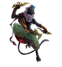 Welcome to Tabaxi Race 5e