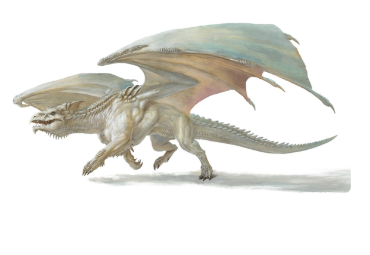 Adult white 5e dragon 