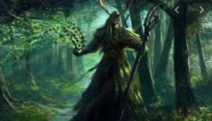 Druid spells 5E